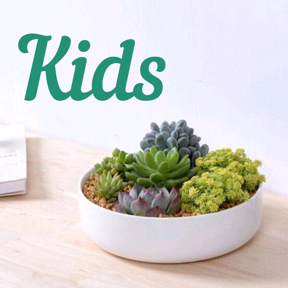 ♥️♥️♥️♥️